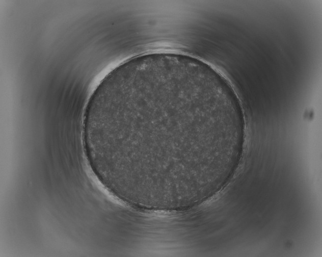 X0000111591333200908061340