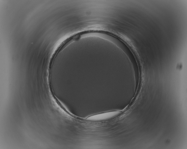 X0000111591334200908061340