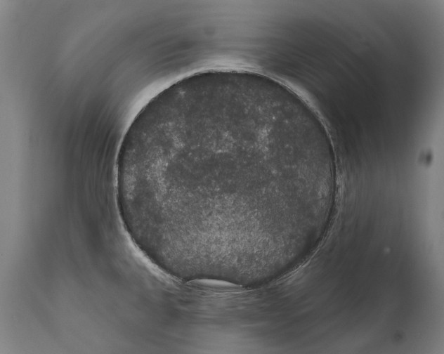 X0000111591335200908061340