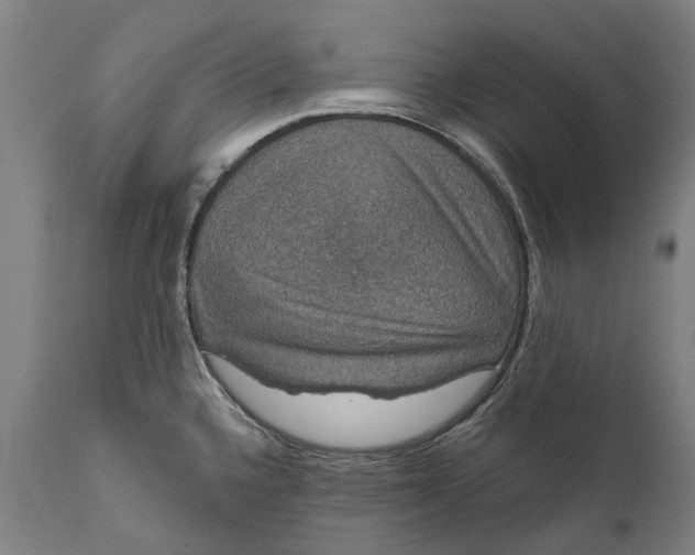 X0000111591336200908061340