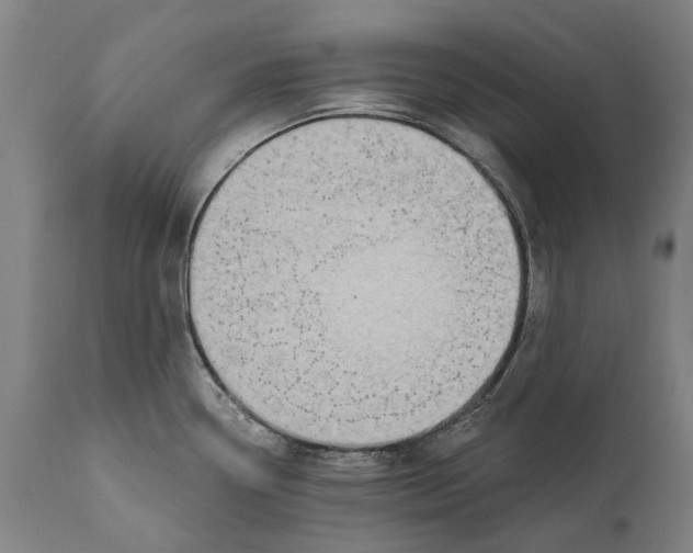 X0000111591338200908061340