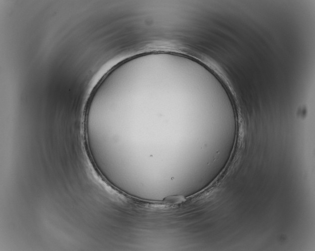 X0000111591339200908061340