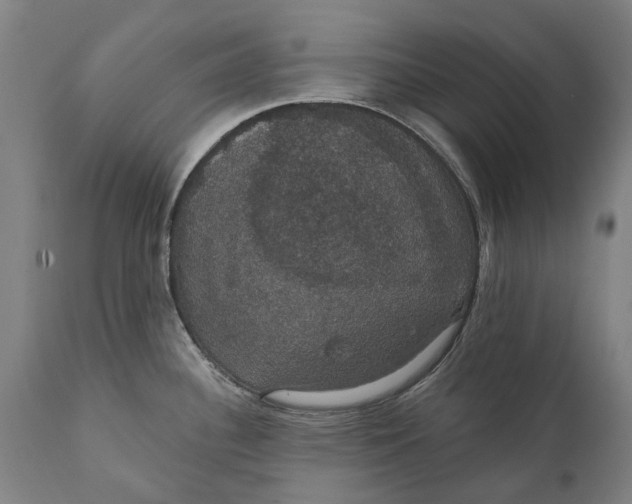 X0000111591340200908061340