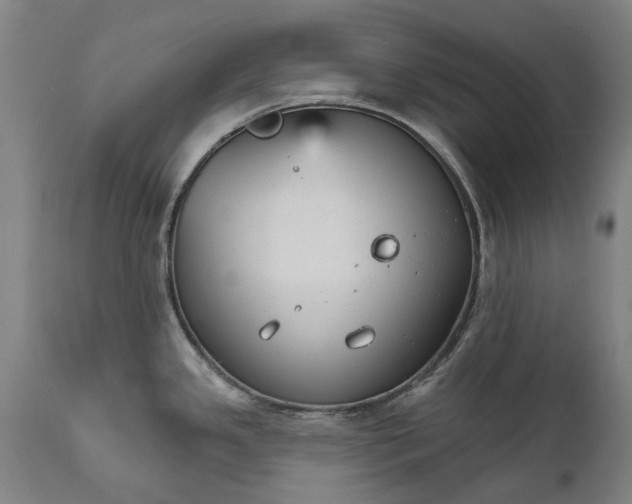 X0000111591341200908061340