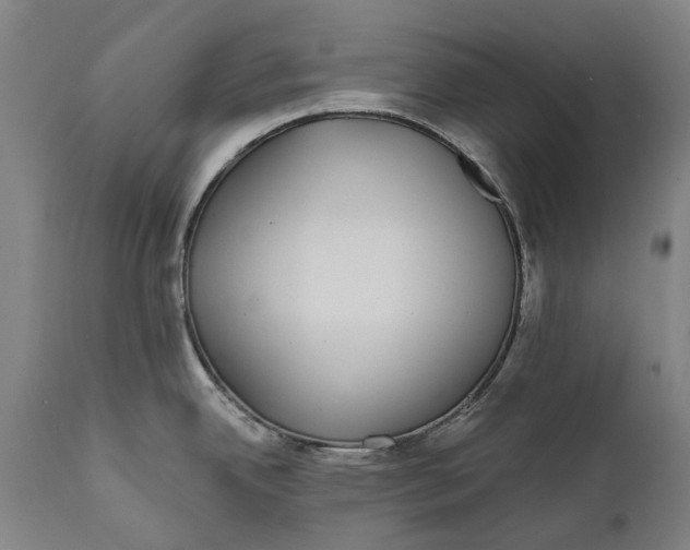 X0000111591342200908061340