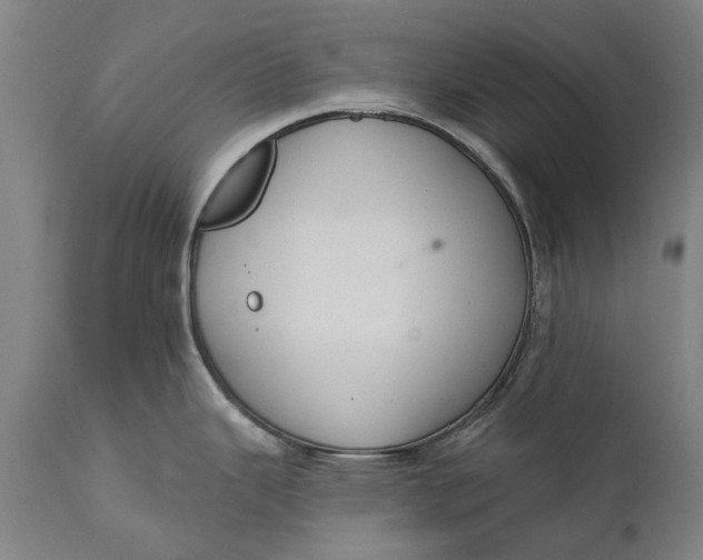 X0000111591343200908061340