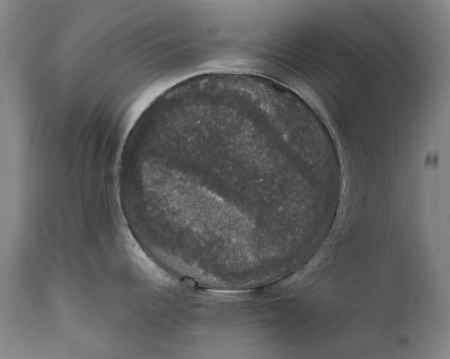 X0000111591344200908061340