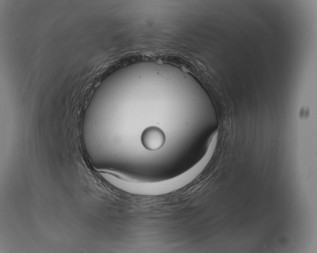 X0000111591345200908061339