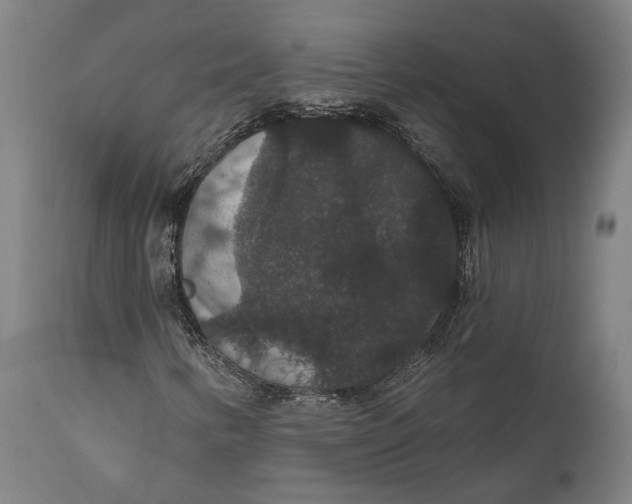 X0000111591346200908061339