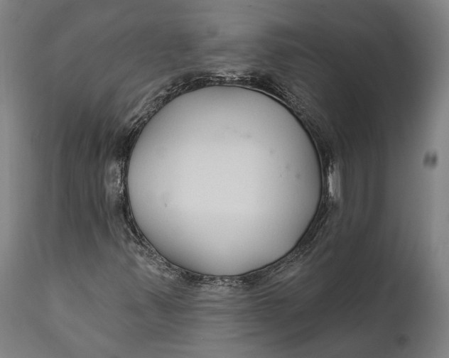 X0000111591347200908061339