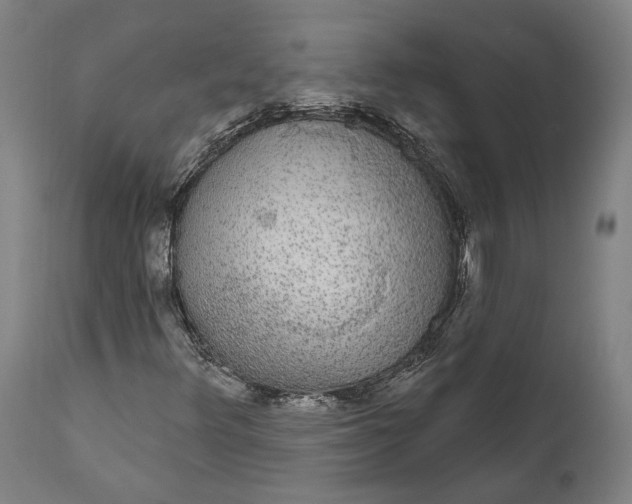 X0000111591348200908061339