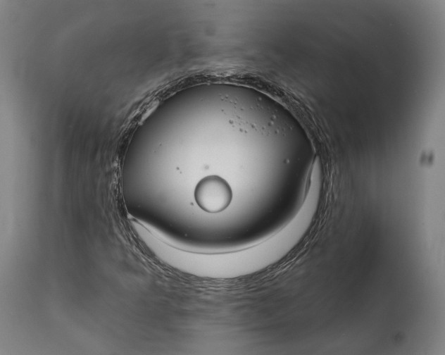 X0000111591349200908061339