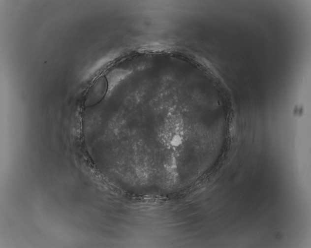 X0000111591350200908061339