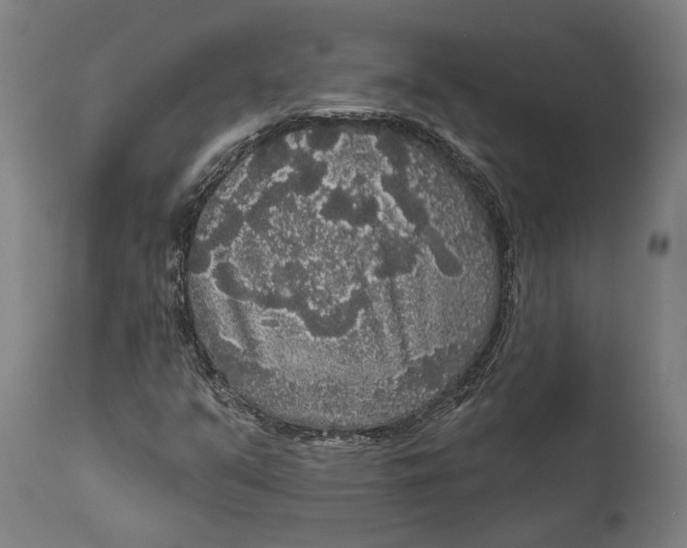 X0000111591351200908061339