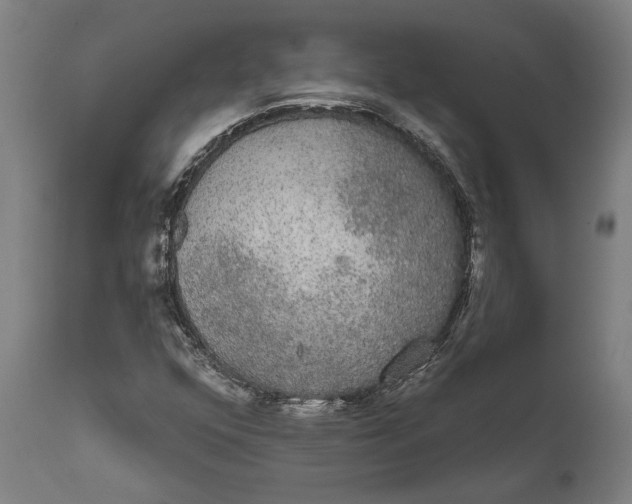 X0000111591352200908061339