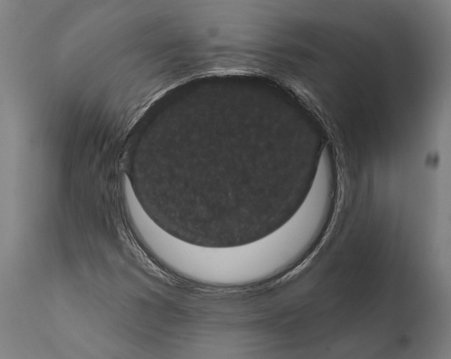 X0000111591353200908061339