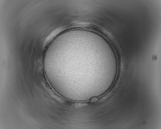 X0000111591354200908061339