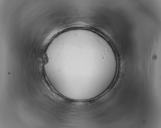 X0000111591355200908061339