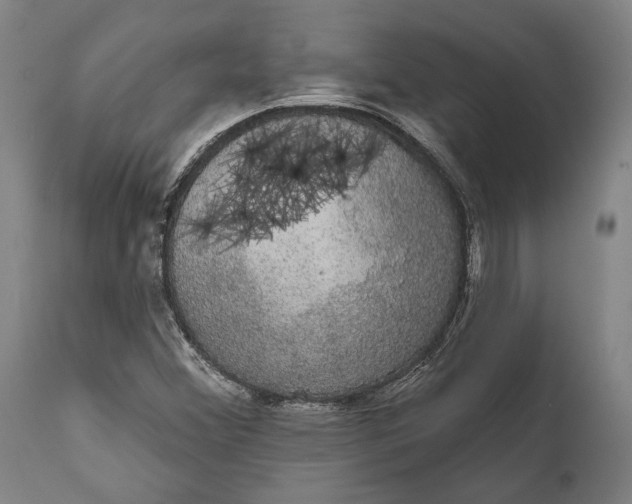 X0000111591356200908061339