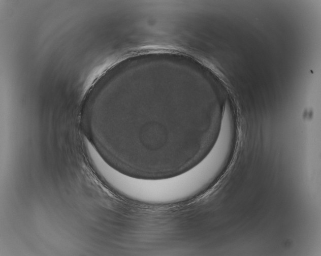 X0000111591357200908061339