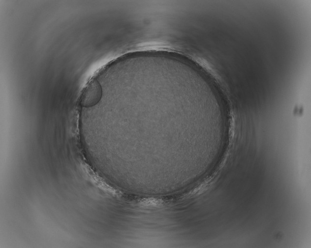 X0000111591358200908061339