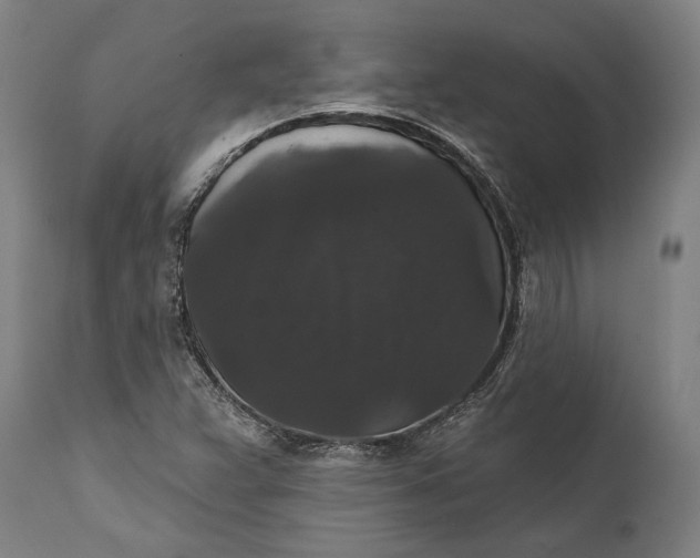 X0000111591359200908061339