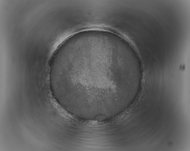 X0000111591360200908061339