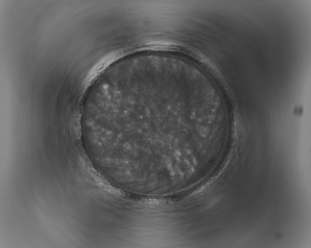 X0000111591362200908061339