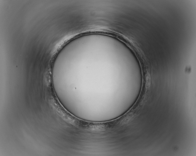 X0000111591363200908061339