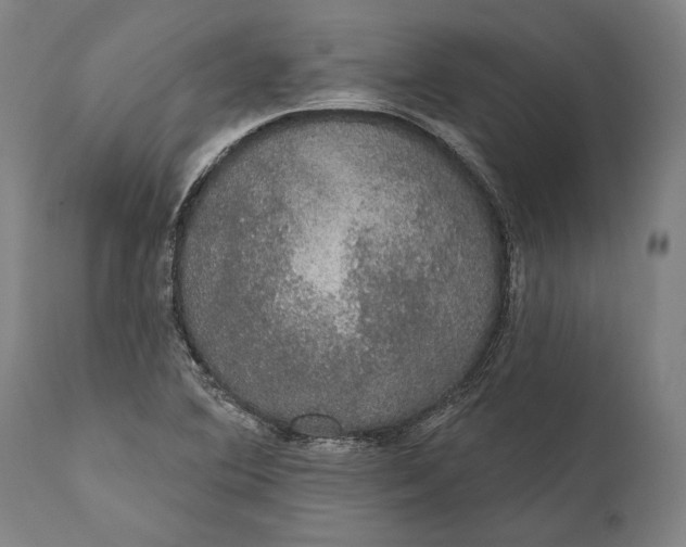 X0000111591364200908061339