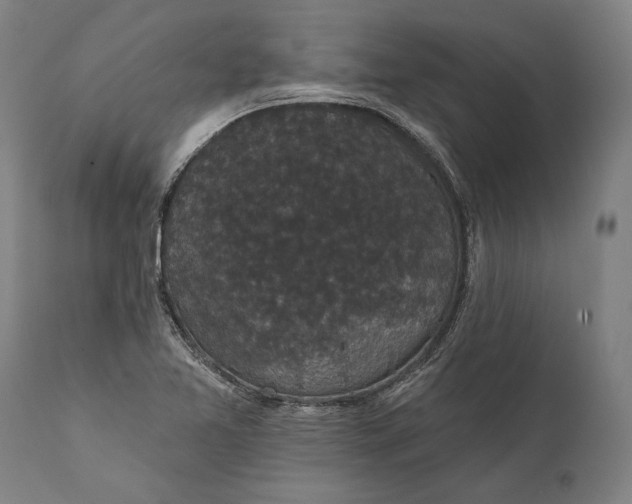 X0000111591365200908061339