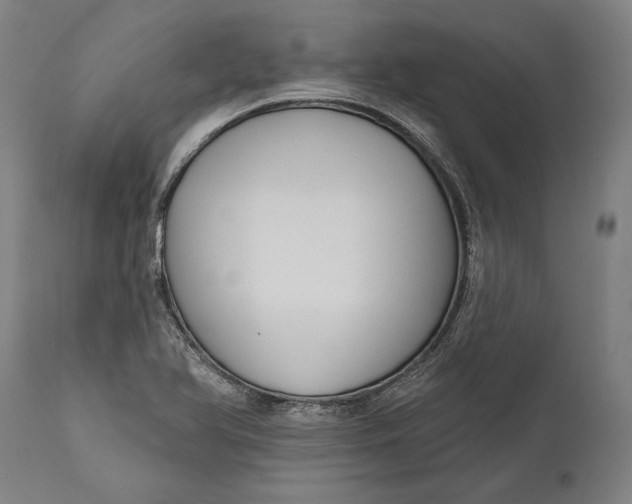 X0000111591366200908061339