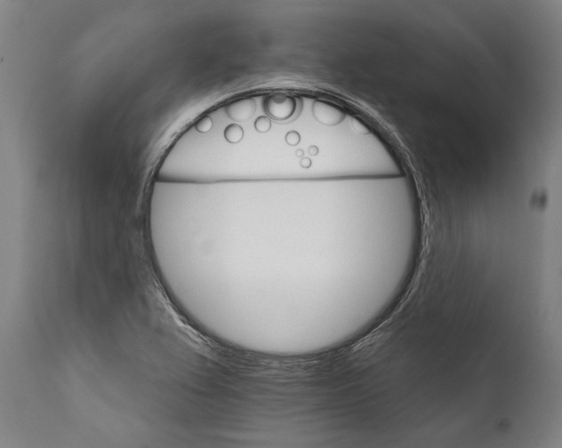 X0000111591367200908061339