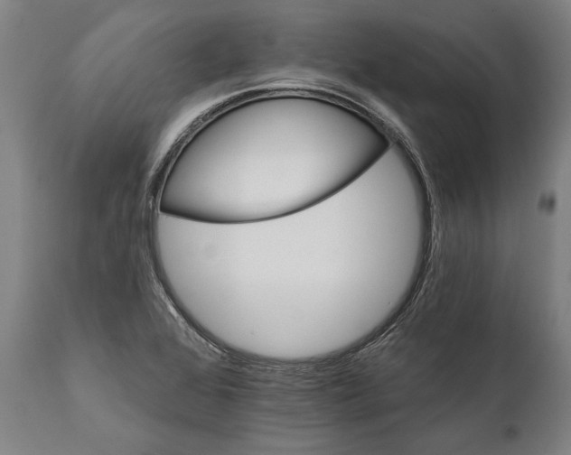 X0000111591368200908061339