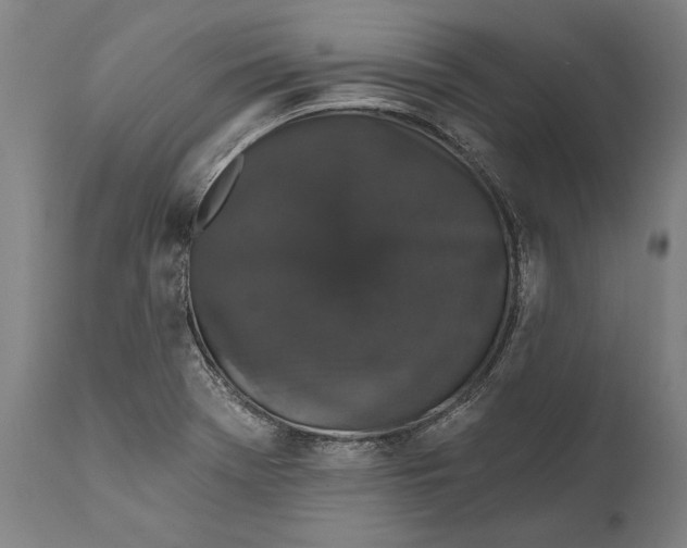 X0000111591369200908061339