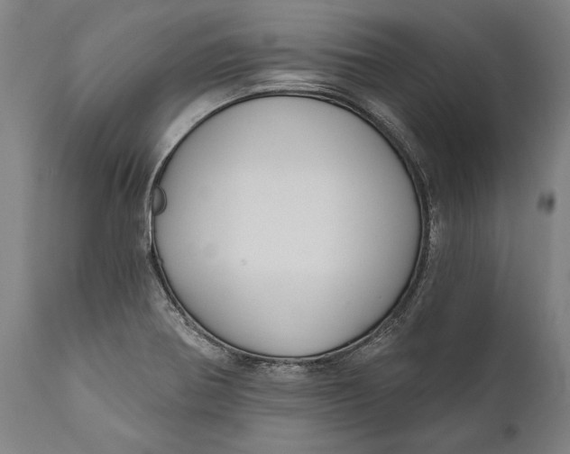 X0000111591370200908061339