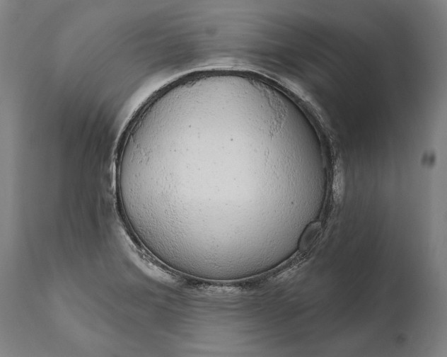 X0000111591372200908061339