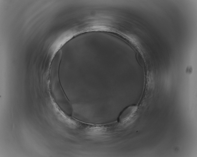 X0000111591373200908061339