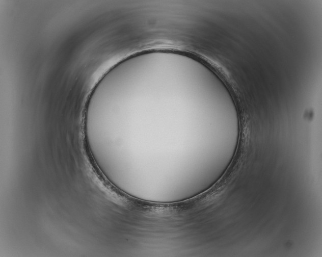 X0000111591375200908061339