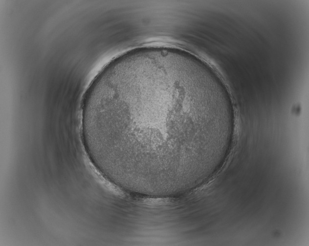 X0000111591376200908061339