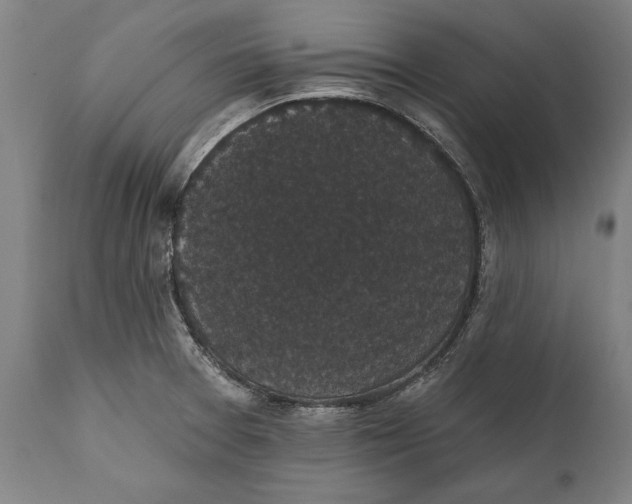 X0000111591377200908061339