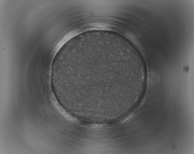 X0000111591378200908061339