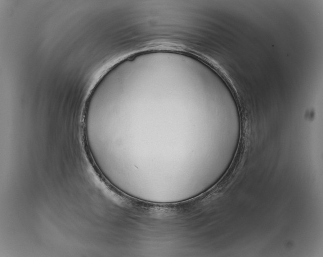 X0000111591379200908061339