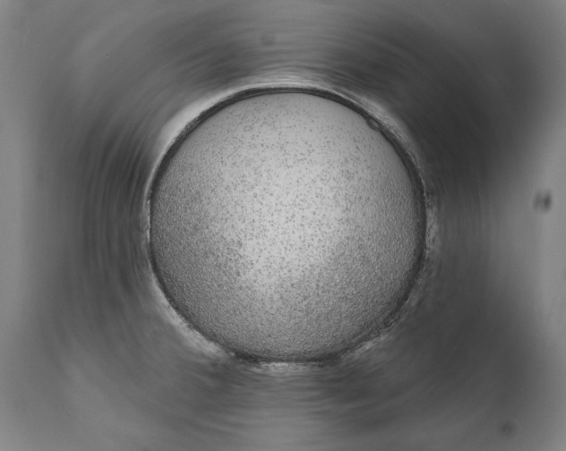 X0000111591380200908061339