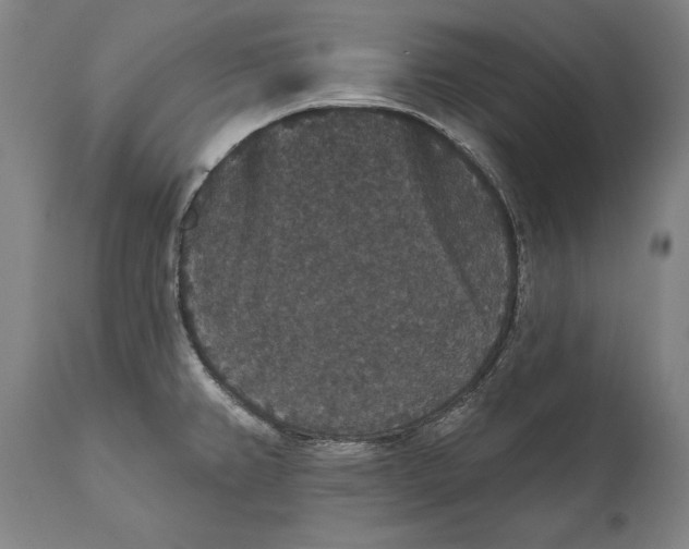 X0000111591382200908061339