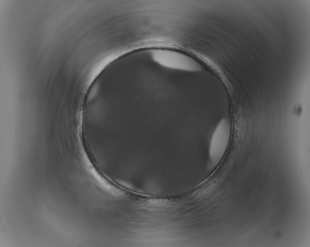 X0000111591383200908061339