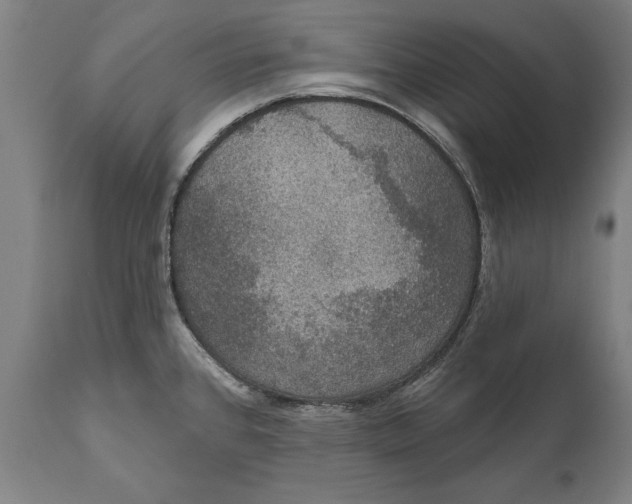 X0000111591384200908061339