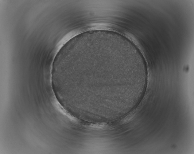 X0000111591386200908061338