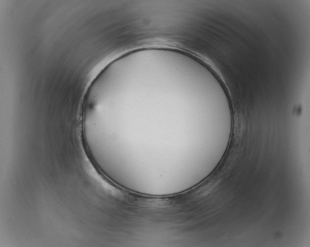 X0000111591387200908061338