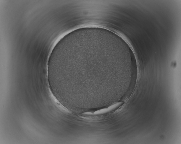 X0000111591388200908061338